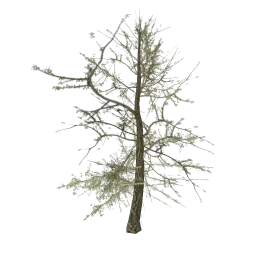tree_hipoly09b