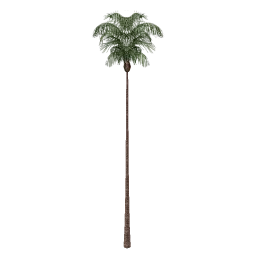 vgs_palmvtall