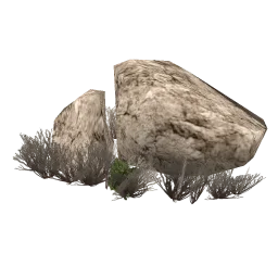 sm_scrub_rock5