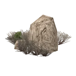 sm_scrub_rock2