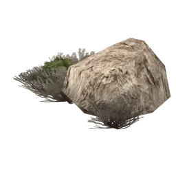 sm_scrub_rock3