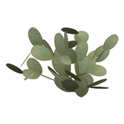 sm_des_pcklypr3