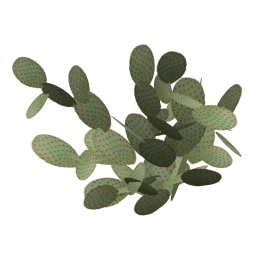 sm_des_pcklypr2