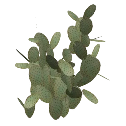 sm_des_pcklypr1