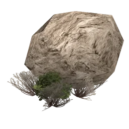 sm_scrub_rock6