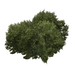 new_bushtest