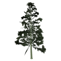 Ash1_hi