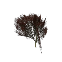 Elmred_hi