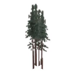 lod_redwoodgrp