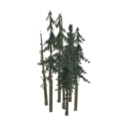 lod_vbg_fir_co