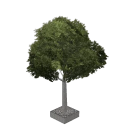aw_streettree1