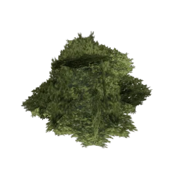genVEG_bush07