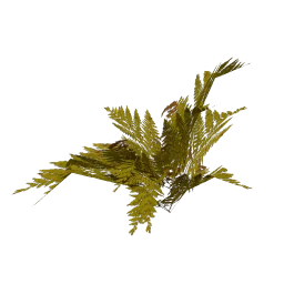 genVEG_bush01