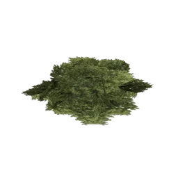 genVEG_bush09