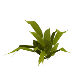 genVEG_bush10