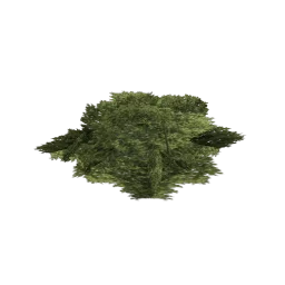 genVEG_bush11
