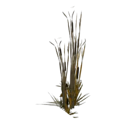 genVEG_tallgrass