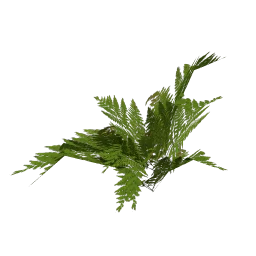 genVEG_bush12