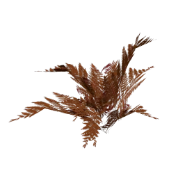genVEG_bush13