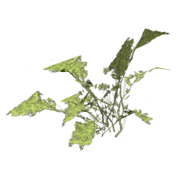 genVEG_bush16