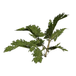 genVEG_bush17