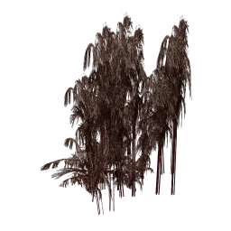 genVEG_tallgrass02