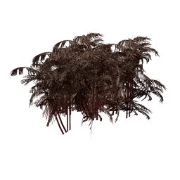 genVEG_tallgrass03