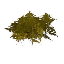 genVEG_tallgrass04
