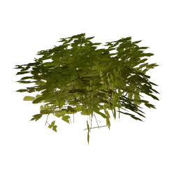 genVEG_tallgrass05