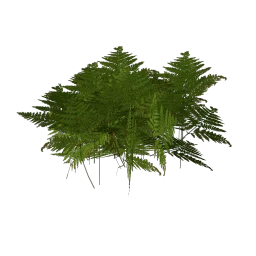 genVEG_tallgrass06