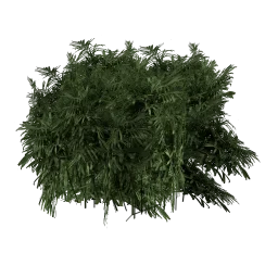 genVEG_tallgrass07