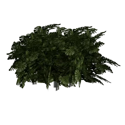 genVEG_tallgrass08