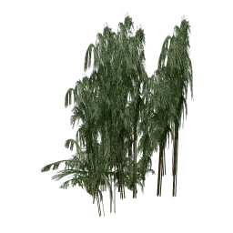 genVEG_tallgrass11