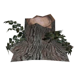DEAD_TREE_5