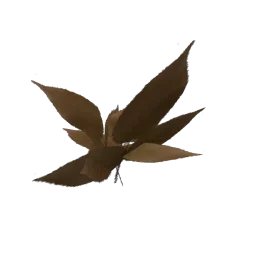 procweegrs