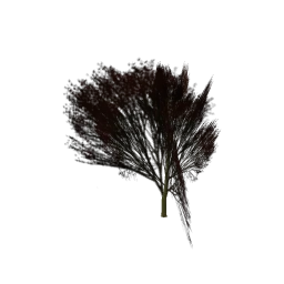 Elmredsm_PO