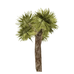 sand_josh1