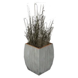 Plant_Pot_10