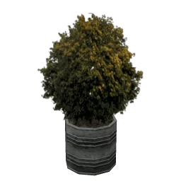 Plant_Pot_4