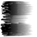 ws_skidmarks