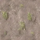 bow_church_dirt