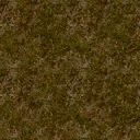 grifnewtex1x_las