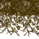 grifnewtex2x_las