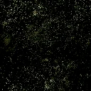 ws_blackmarble