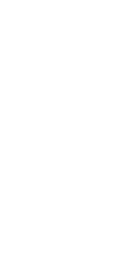ws_ irongate_white
