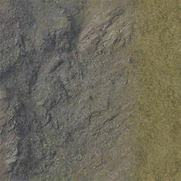 sfn_rockgrass1