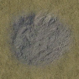 sfn_rockgrass10