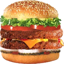 vgnburger_256