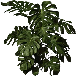 plantb256
