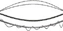 dt_overwire_t